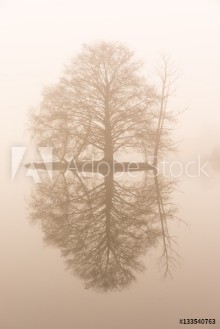 Bild på Small island in the fog on the water